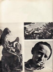 PAGE 2 - CLICK TO ENLARGE